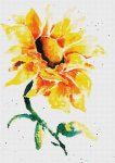 (image for) Sunflower